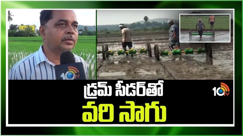 Drum Seeder Techniques In Paddy Cultivation