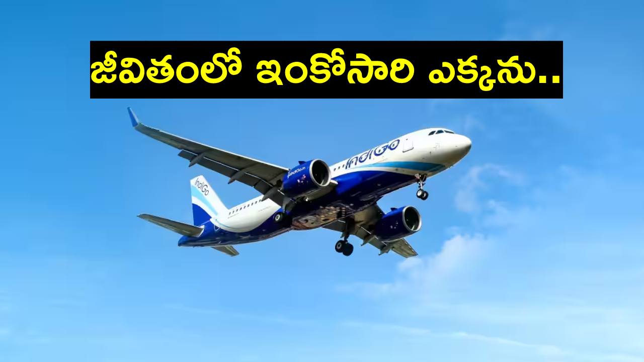 IndiGo: నా జీవితంలో ఇలాంటి ఘోర అనుభవాన్ని ఇంతకుముందు ఎప్పుడూ ఎదుర్కోలేదు: విమాన ప్రయాణికుడు IndiGo: నా జీవితంలో ఇలాంటి ఘోర అనుభవాన్ని ఇంతకుముందు ఎప్పుడూ ఎదుర్కోలేదు: విమాన ప్రయాణికుడు