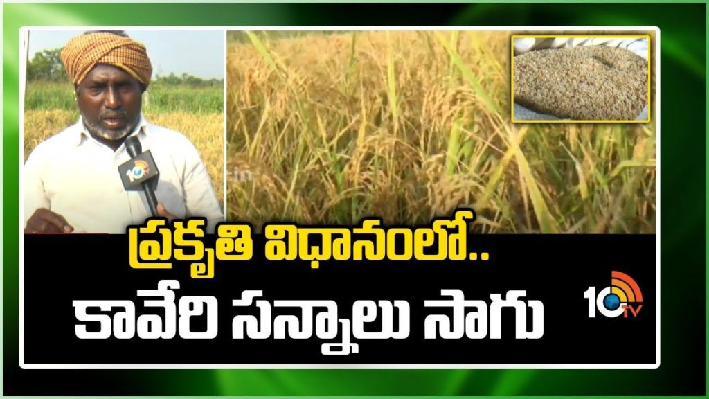 Kaveri Vari Sanna Rakalu