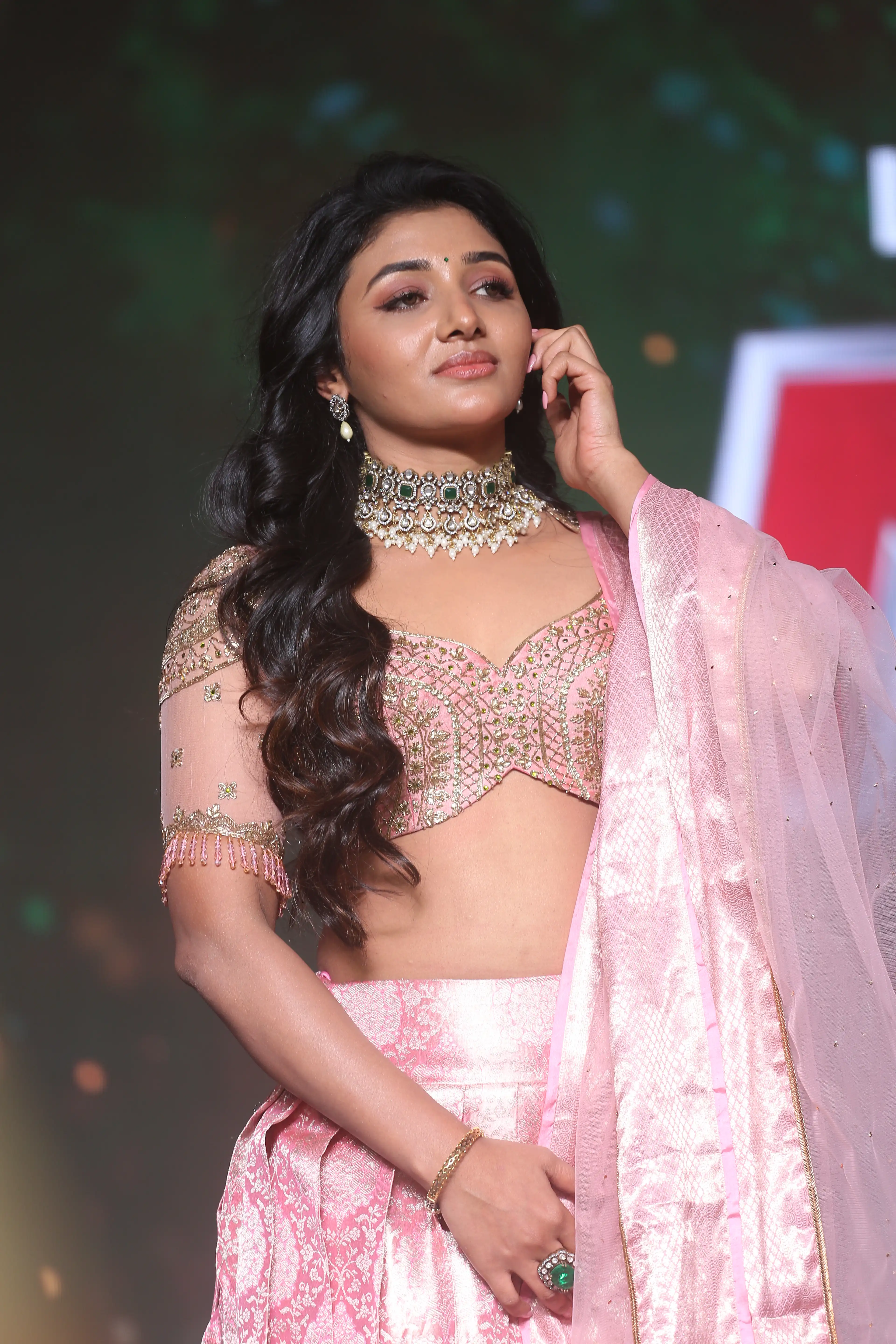 Mirnaa Menon Photos at Nagarjuna Naa Saami Ranga Movie Pre Release Event