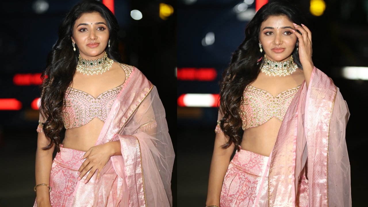 Mirnaa Menon : మైమరపిస్తున్న మిర్నా మీనన్ అందాలు..