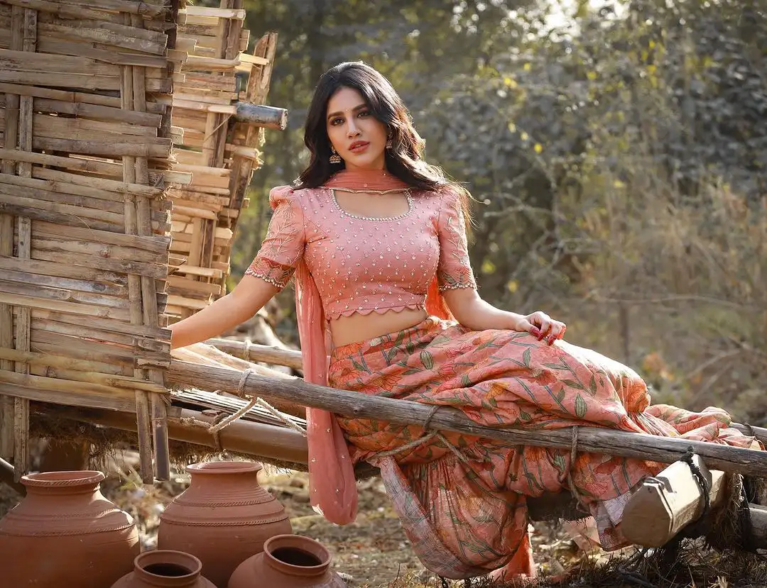 Nabha Natesh Village Photo Shoot for Sankranthi