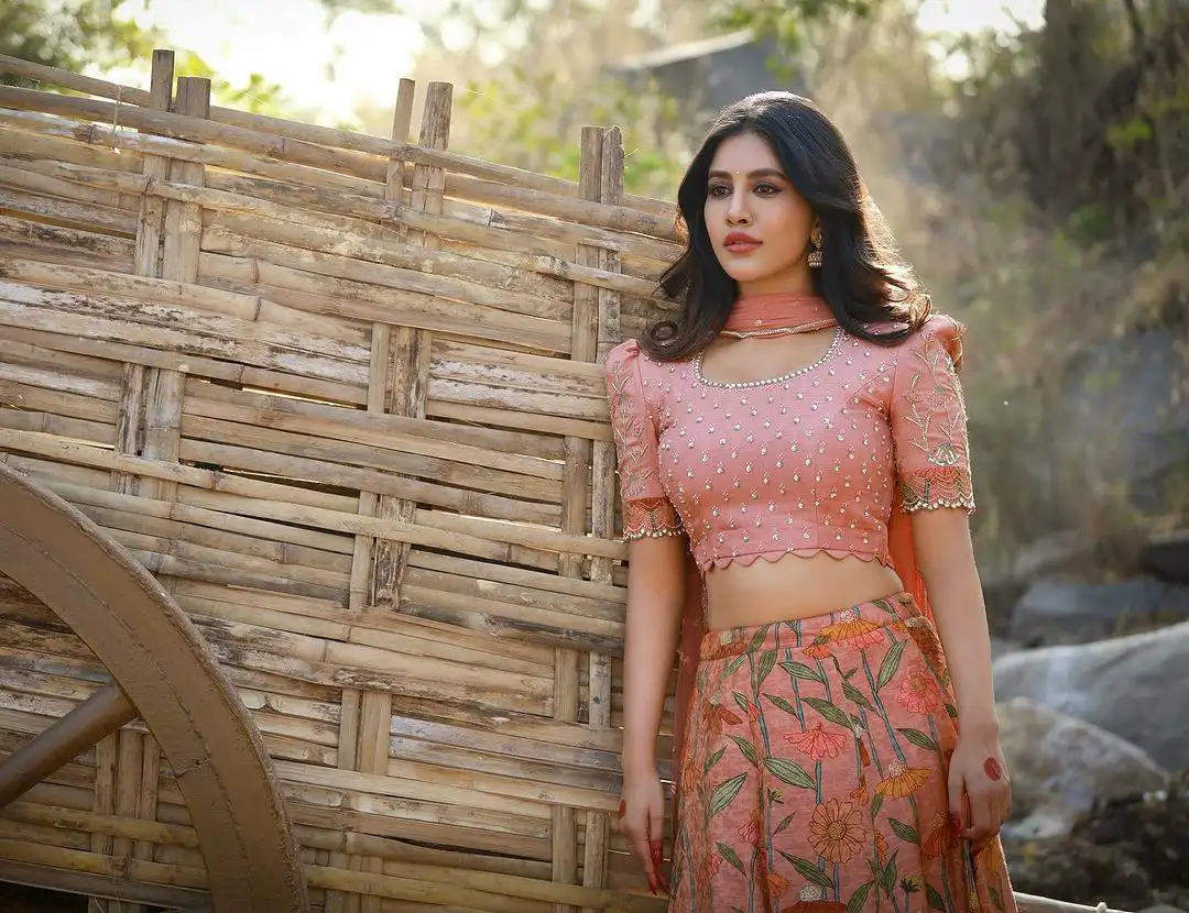 Nabha Natesh Village Photo Shoot for Sankranthi