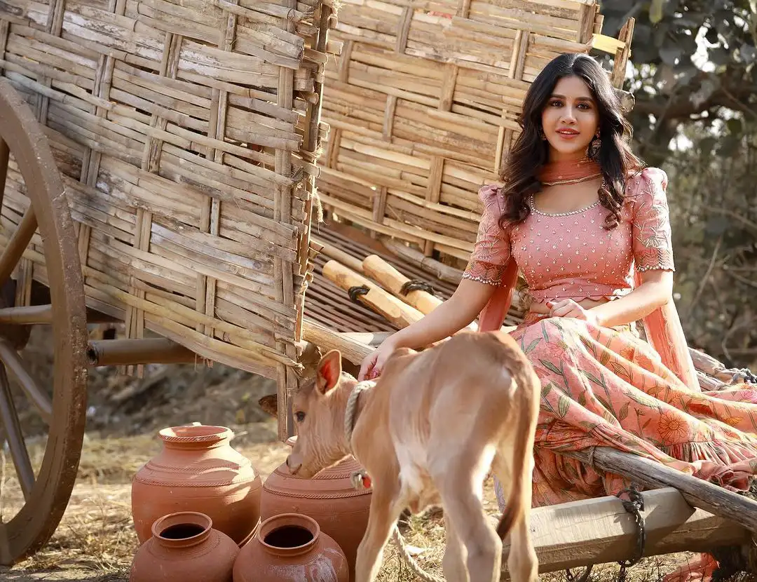 Nabha Natesh Village Photo Shoot for Sankranthi