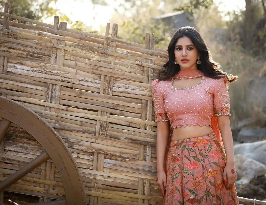 Nabha Natesh Village Photo Shoot for Sankranthi