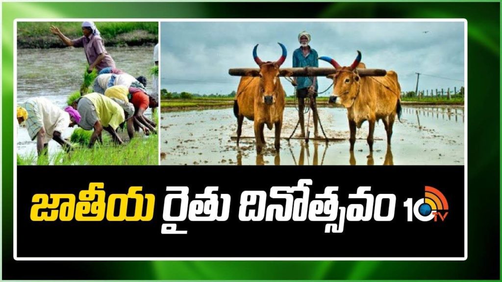 National Farmer's Day : Kisan Diwas Know its history and significance