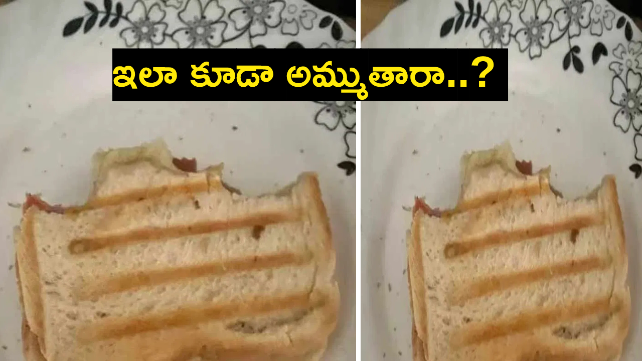 Sandwich : అమ్మకానికి సగం తిన్న శాండ్విచ్.. కొనేందుకు జీవితం సరిపోదు..! ధర తెలిస్తే షాకే..! Sandwich : అమ్మకానికి సగం తిన్న శాండ్విచ్.. కొనేందుకు జీవితం సరిపోదు..! ధర తెలిస్తే షాకే..!