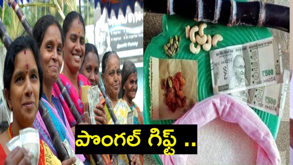 Pongal gift