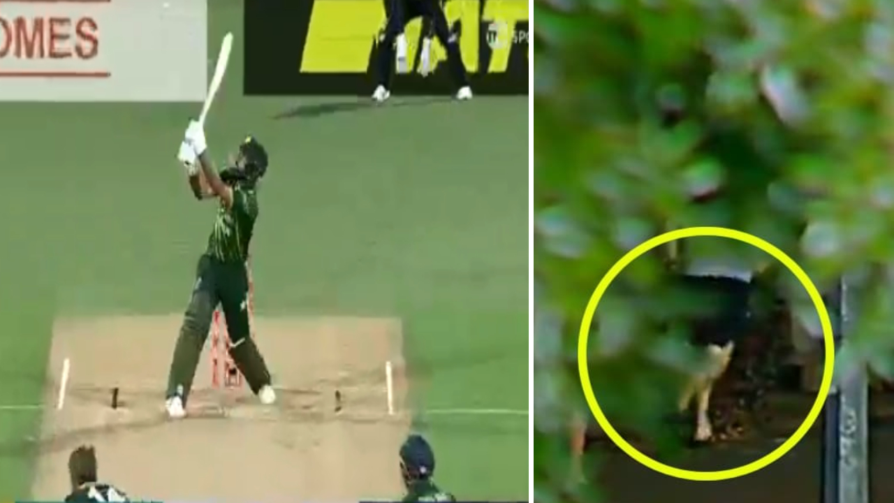 NZ vs PAK : బ్యాటర్ సిక్స్ కొట్టగానే.. బాల్ తీసుకుని వెనక్కి తిరిగి చూడకుండా లగెత్తిన ఫ్యాన్ NZ vs PAK : బ్యాటర్ సిక్స్ కొట్టగానే.. బాల్ తీసుకుని వెనక్కి తిరిగి చూడకుండా లగెత్తిన ఫ్యాన్