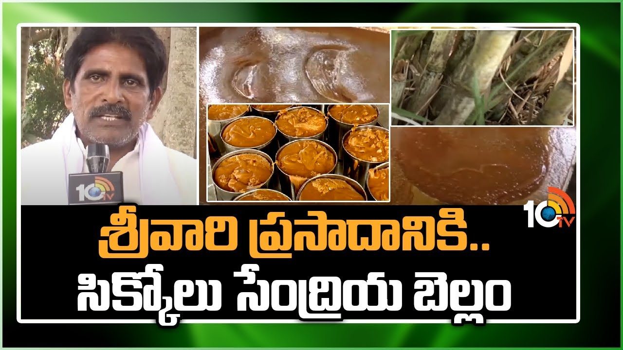 Organic Jaggery : శ్రీవారి ప్రసాదానికి.. సిక్కోలు సేంద్రియ బెల్లం Organic Jaggery : శ్రీవారి ప్రసాదానికి.. సిక్కోలు సేంద్రియ బెల్లం