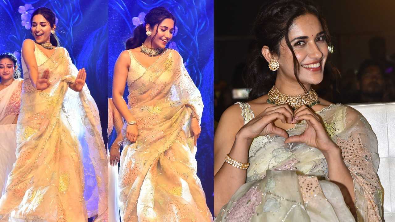 Ruhani Sharma : ‘సైంధవ్‌’ ప్రీ రిలీజ్ ఈవెంట్‌లో రుహాణి శర్మ శారీ సోయగాలు..