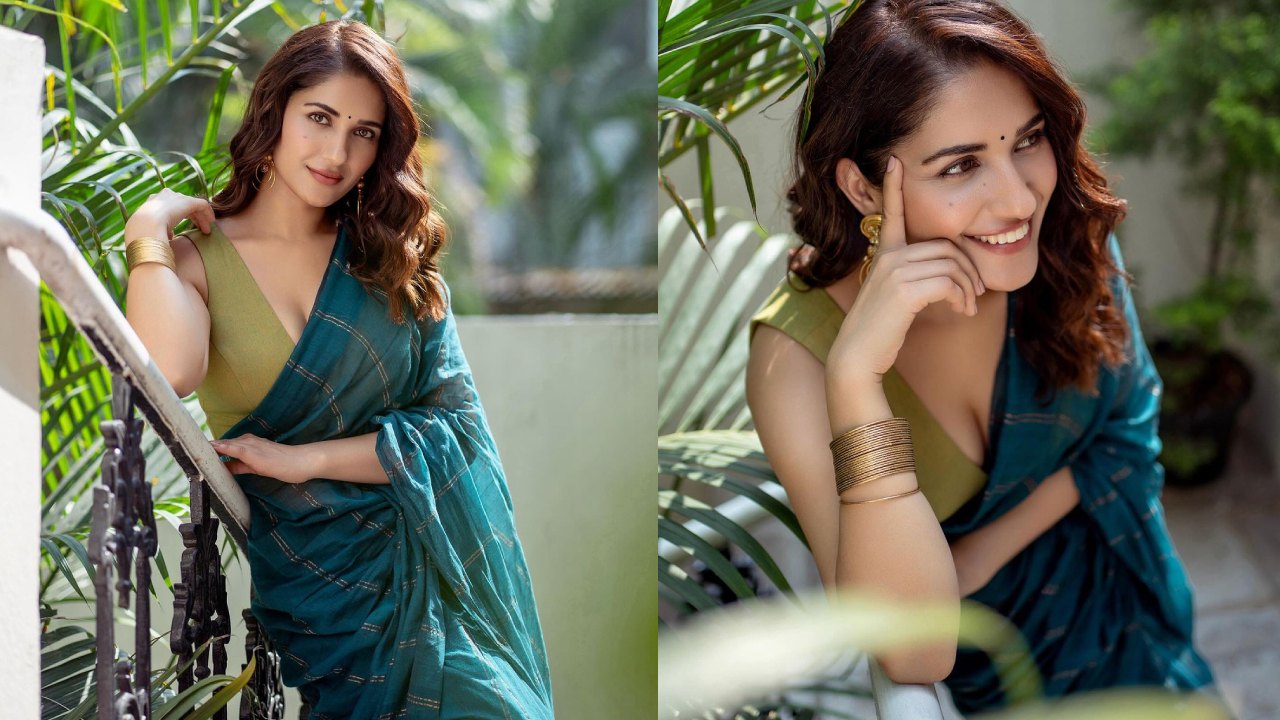 Ruhani Sharma : చిరునవ్వులతో చీరలో రుహాణి శర్మ..