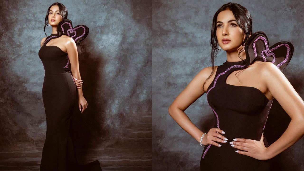 Sonal Chauhan : బ్లాక్ డ్రెస్‌లో సోనాల్ చౌహన్ సొగసులు..