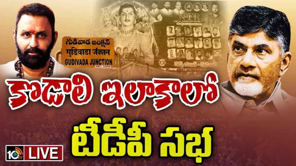 TDP Public Meeting In Gudivada
