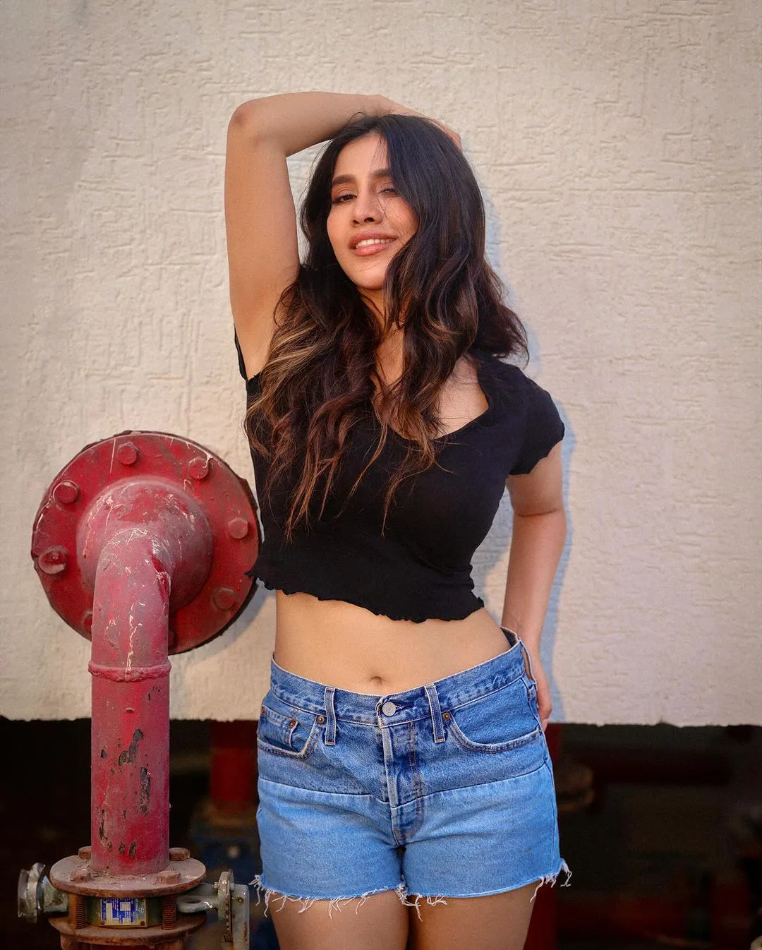 Tollywood heroine Nabha Natesh shares her lastest photos in instagram