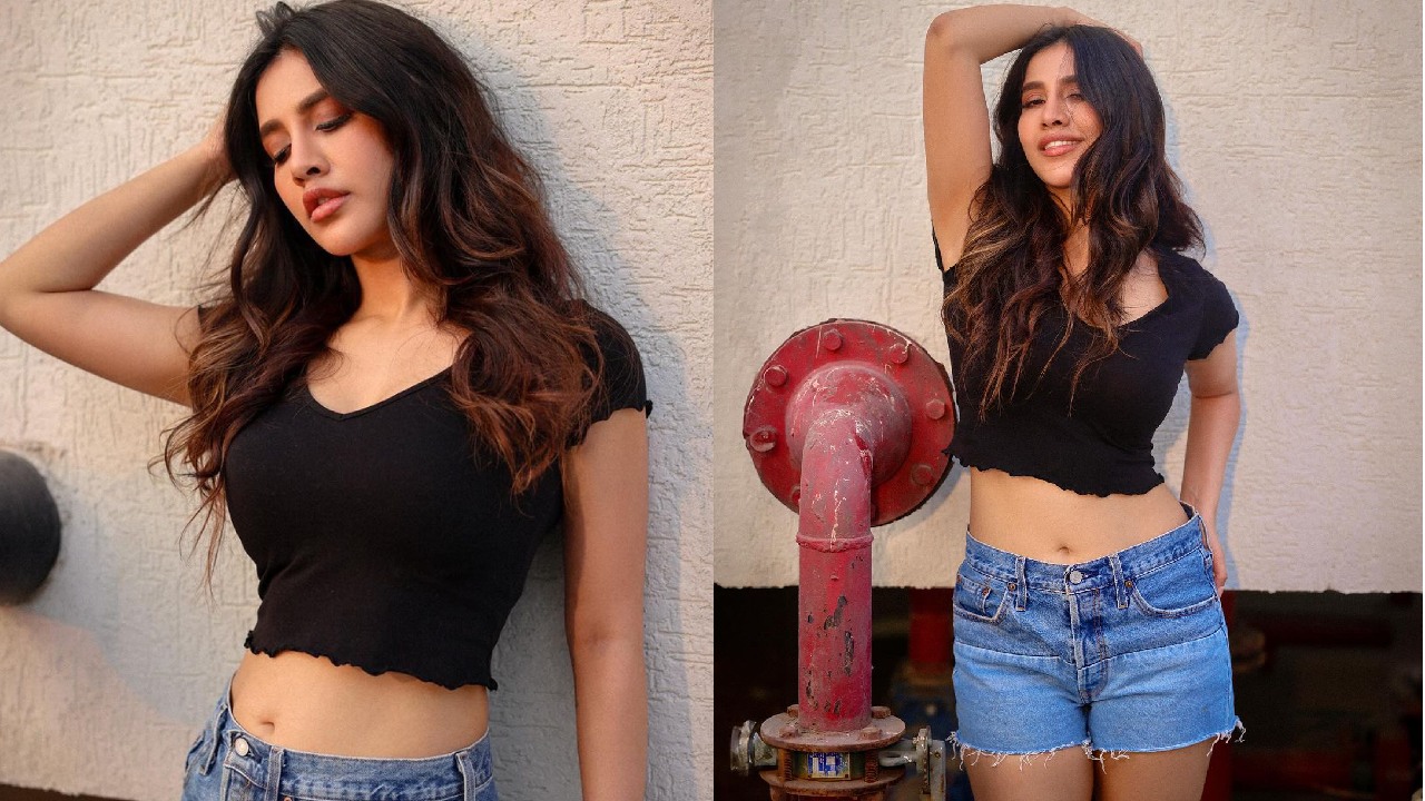 Nabha Natesh : నడుము అందాలతో మాయ చేస్తున్న నభా నటేష్..