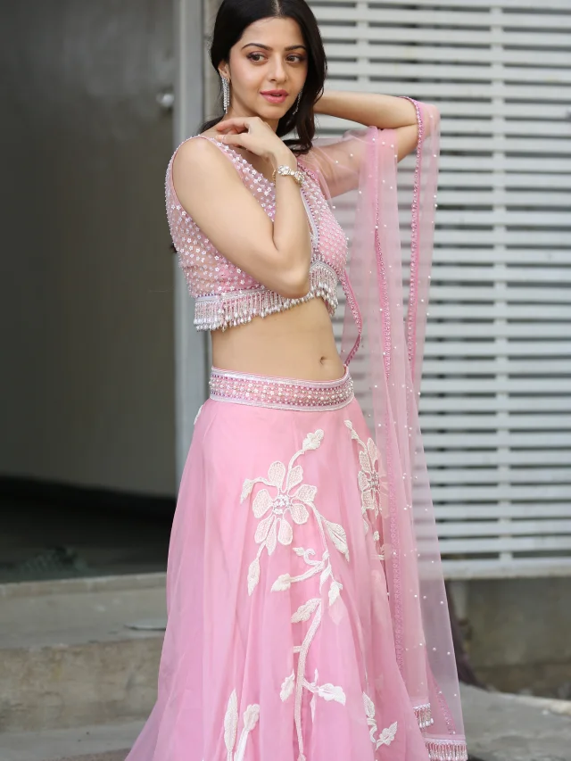 Vedika Stunning Looks in her New Telugu Movie Fear Opening Ceremony