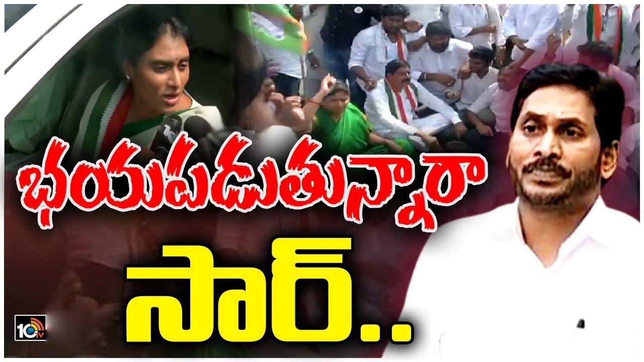 YS Sharmila: పోలీసులపై వైఎస్ షర్మిల ఆగ్రహం.. ‘ఏం సర్.. ప్రభుత్వానికి భయమేస్తుందా?’ అంటూ విమర్శ.. YS Sharmila: పోలీసులపై వైఎస్ షర్మిల ఆగ్రహం.. ‘ఏం సర్.. ప్రభుత్వానికి భయమేస్తుందా?’ అంటూ విమర్శ..