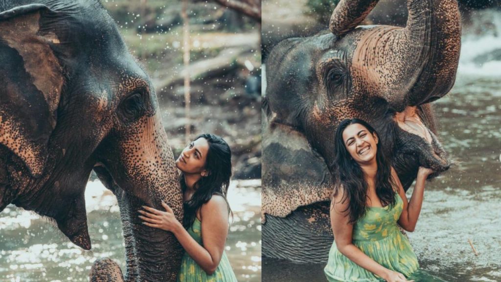 Niharika Konidela Enjoying Vacation in Thailand and playing with Elephants