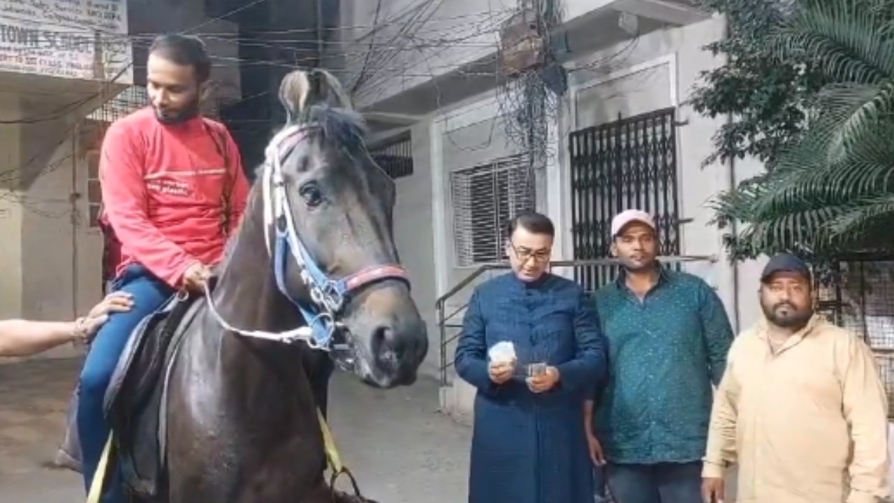 zomato Food Delivery Boy : గుర్రంపై ఆర్డర్లు డెలివరీ చేస్తున్న జొమాటో డెలివరీ బాయ్.. రూ.10వేల సహాయం చేసిన ఎంబీటీ ప్రతినిధి.. వీడియో వైరల్ zomato Food Delivery Boy : గుర్రంపై ఆర్డర్లు డెలివరీ చేస్తున్న జొమాటో డెలివరీ బాయ్.. రూ.10వేల సహాయం చేసిన ఎంబీటీ ప్రతినిధి.. వీడియో వైరల్
