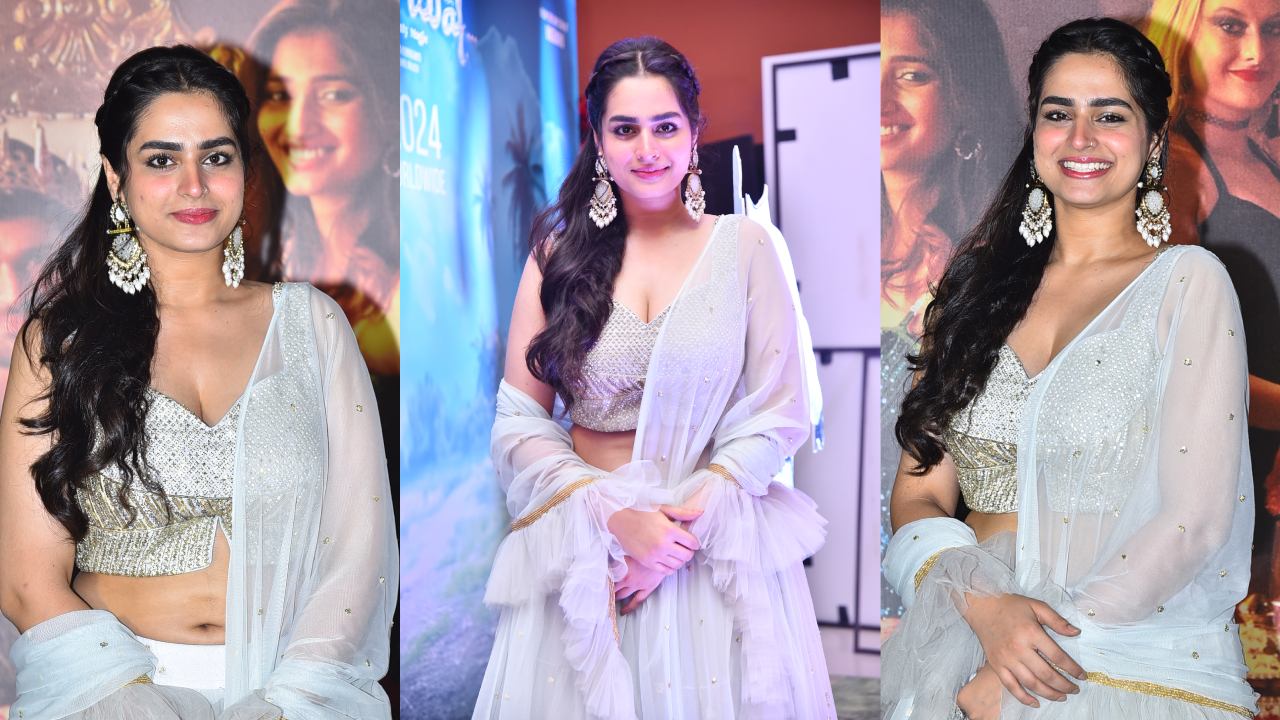 Ayesha Khan : అందాలతో కవ్విస్తున్న అయేషా ఖాన్..