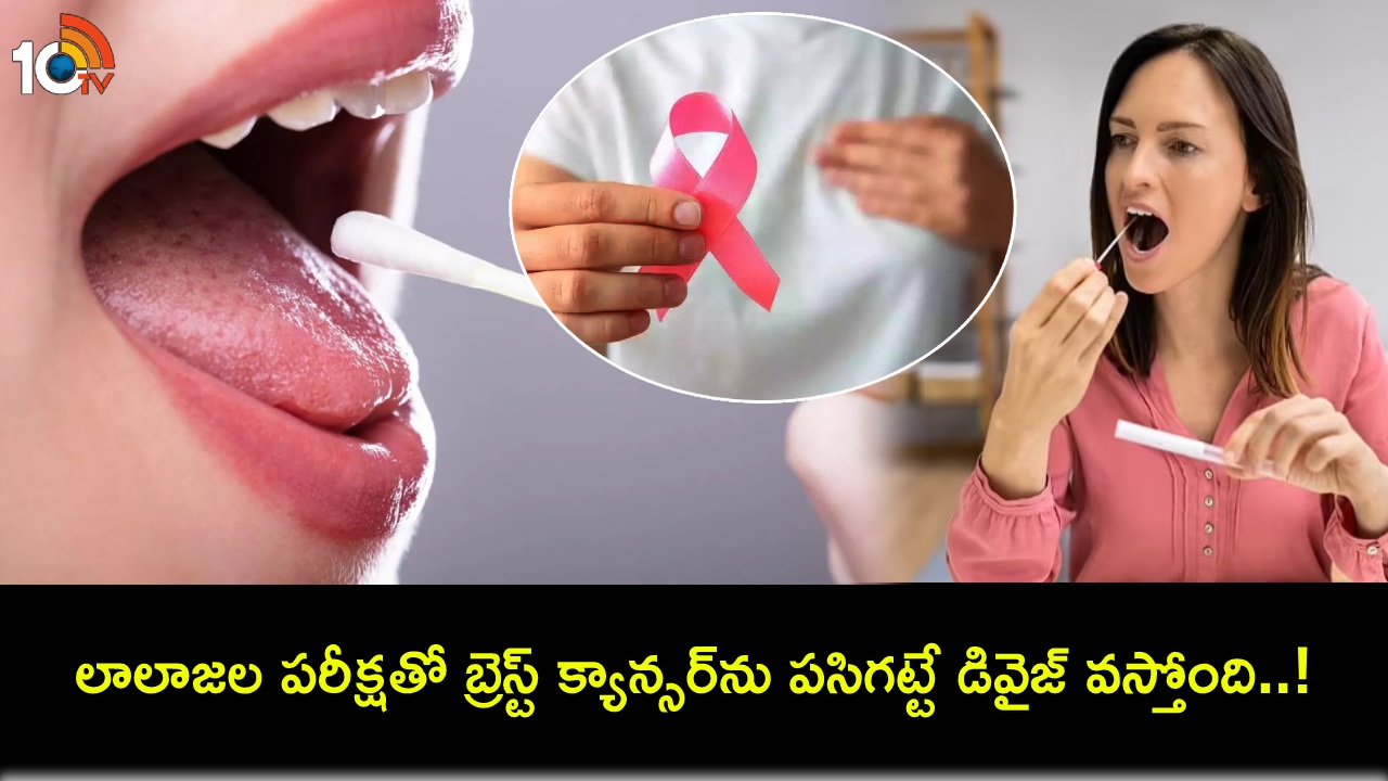 Breast Cancer Saliva Test : నోటి లాలాజలం చుక్క వేస్తే చాలు.. ఐదు సెకన్లలో బ్రెస్ట్ క్యాన్సర్ను పసిగట్టేస్తుందట..! Breast Cancer Saliva Test : నోటి లాలాజలం చుక్క వేస్తే చాలు.. ఐదు సెకన్లలో బ్రెస్ట్ క్యాన్సర్ను పసిగట్టేస్తుందట..!