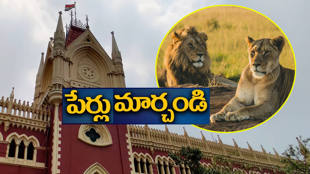 ఆ రెండు సింహాల పేర్లు మార్చండి.. బెంగాల్ సర్కారుకు హైకోర్టు ఆదేశం ఆ రెండు సింహాల పేర్లు మార్చండి.. బెంగాల్ సర్కారుకు హైకోర్టు ఆదేశం