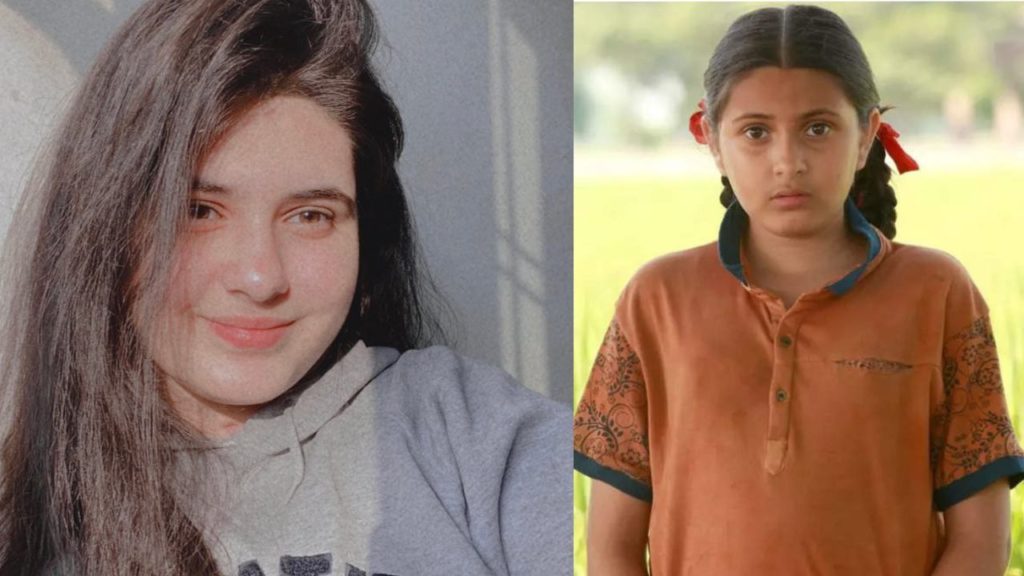 Dangal fame Suhani Bhatnagar passed away at the age of 19