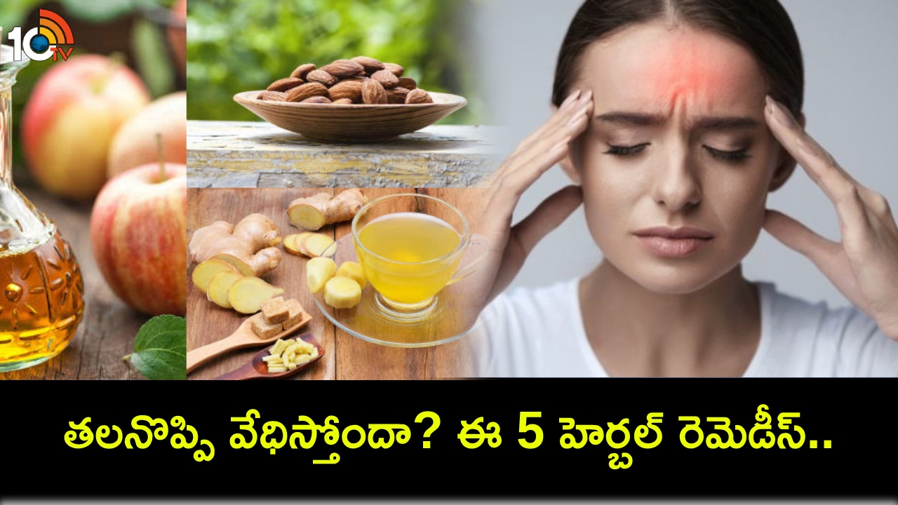 Persistent Headaches : అదేపనిగా తలనొప్పి వేధిస్తోందా? ఈ 5 హెర్బల్ రెమెడీస్ ఓసారి ట్రై చేయండి! Persistent Headaches : అదేపనిగా తలనొప్పి వేధిస్తోందా? ఈ 5 హెర్బల్ రెమెడీస్ ఓసారి ట్రై చేయండి!