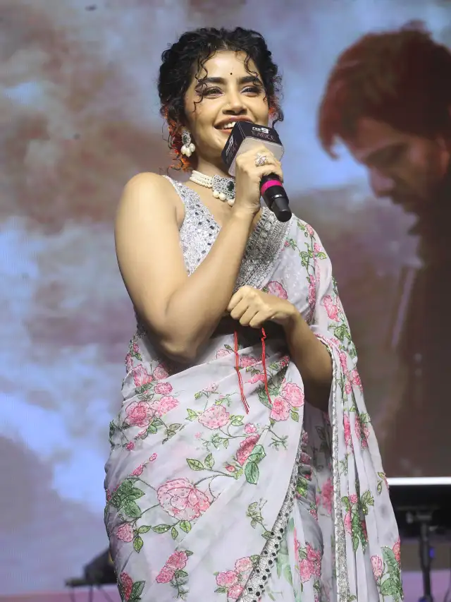 Raviteja Eagle Movie Pre Release Event