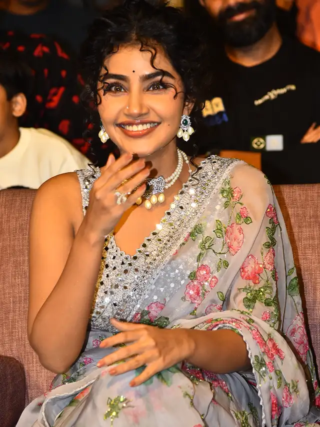 Raviteja Eagle Movie Pre Release Event