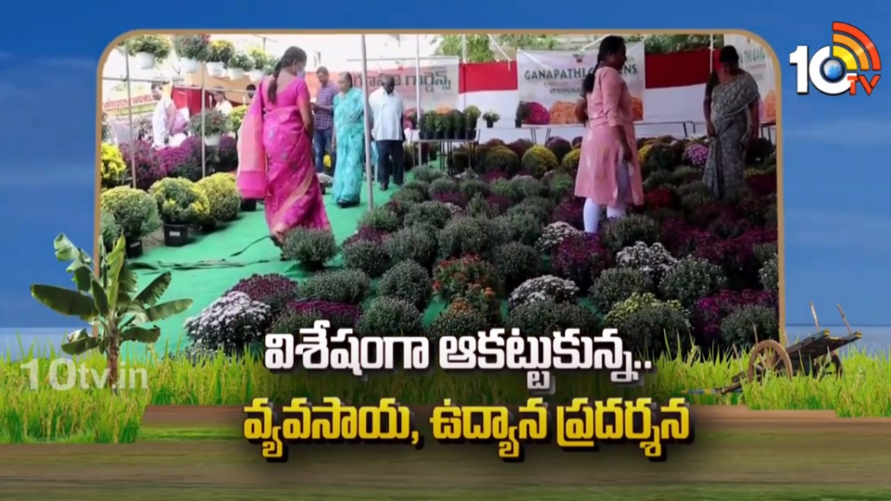 Horticultural Exhibition : విశేషంగా ఆకట్టుకున్న.. వ్యవసాయ, ఉద్యాన ప్రదర్శన Horticultural Exhibition : విశేషంగా ఆకట్టుకున్న.. వ్యవసాయ, ఉద్యాన ప్రదర్శన