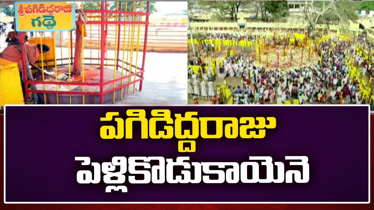 గద్దెలపై కొలువుదీరేందుకు సిద్ధమవుతున్న వన దేవతలు
