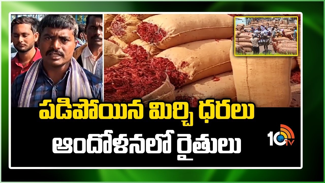 Mirchi Farmers : పడిపోయిన మిర్చి ధరలు ఆందోళనలో రైతులు Mirchi Farmers : పడిపోయిన మిర్చి ధరలు ఆందోళనలో రైతులు