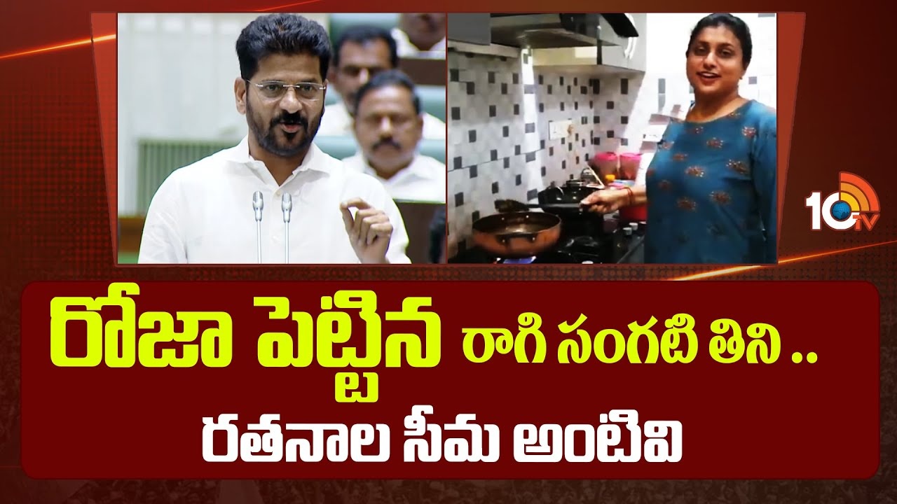 CM Revanth Reddy : బీఆర్ఎస్ నేతలపై సీఎం రేవంత్ నిప్పులు