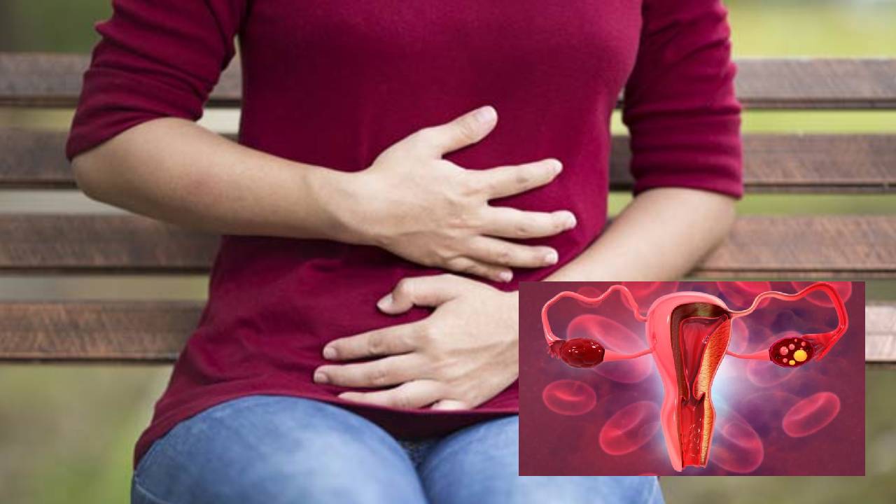Cervical Cancer : సర్వైకల్ క్యాన్సర్తో మరణించిన పూనమ్ పాండే.. ఈ క్యాన్సర్ ఎలా సోకుతుందంటే.. Cervical Cancer : సర్వైకల్ క్యాన్సర్తో మరణించిన పూనమ్ పాండే.. ఈ క్యాన్సర్ ఎలా సోకుతుందంటే..