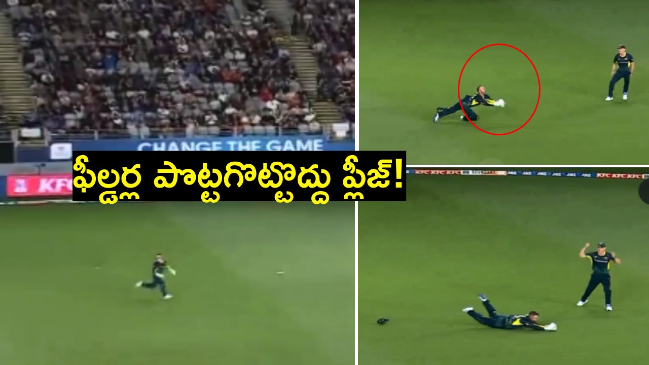 NZ vs AUS : అది ఫీల్డర్ పట్టాల్సిన క్యాచ్.. గ్రౌండ్ మొత్తం నీదే అంటే ఎలా? వారి పొట్టగొట్టొద్దు ప్లీజ్! NZ vs AUS : అది ఫీల్డర్ పట్టాల్సిన క్యాచ్.. గ్రౌండ్ మొత్తం నీదే అంటే ఎలా? వారి పొట్టగొట్టొద్దు ప్లీజ్!