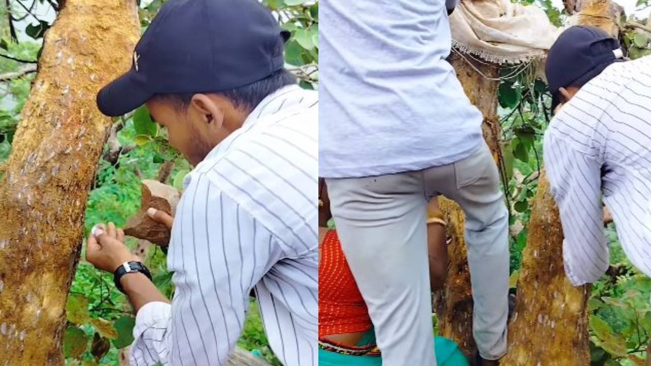 Viral Video : డబ్బు చెట్టుని చూసారా? కొమ్మ కొమ్మకి నాణాలే నాణాలు.. Viral Video : డబ్బు చెట్టుని చూసారా? కొమ్మ కొమ్మకి నాణాలే నాణాలు..