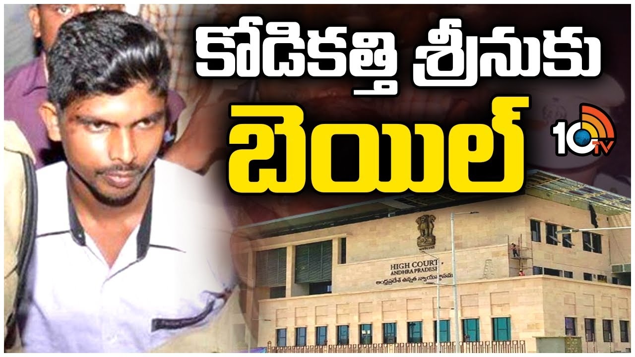 Kodi Katti Case : కోడికత్తి శ్రీనుకు ఏపీ హైకోర్టులో ఊరట