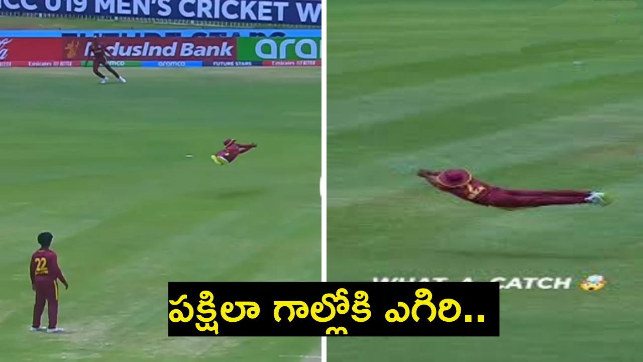 Viral Video : ఇలాంటి క్యాచ్ ఎప్పుడూ చూసి ఉండరూ! పక్షిలా గాల్లోకి ఎగిరి.. Viral Video : ఇలాంటి క్యాచ్ ఎప్పుడూ చూసి ఉండరూ! పక్షిలా గాల్లోకి ఎగిరి..
