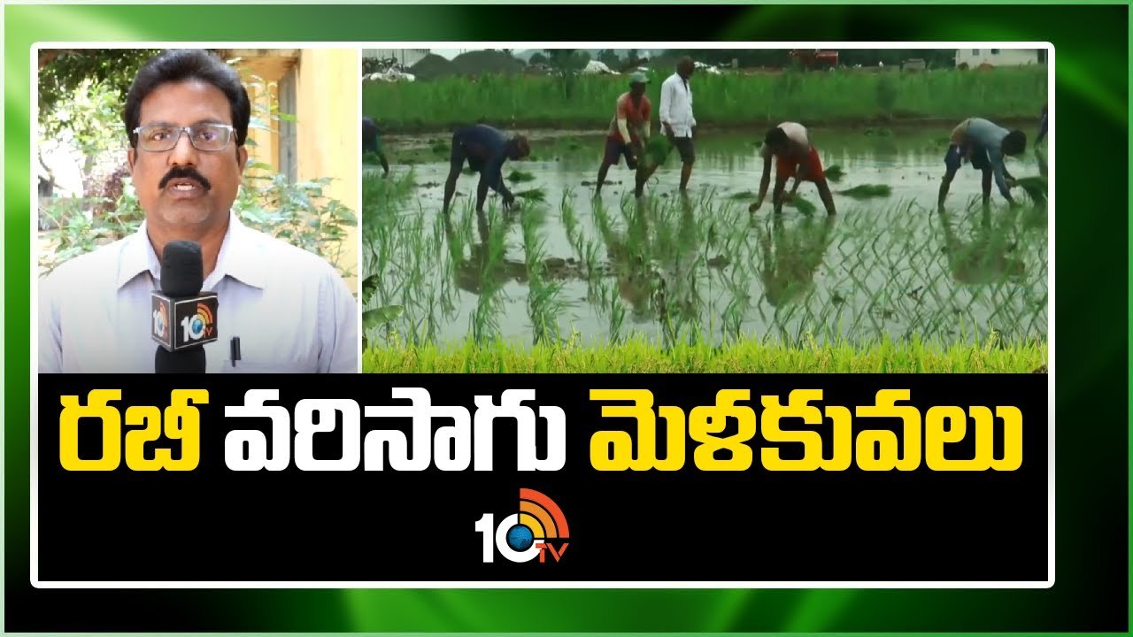 Paddy Cultivation : రబీ వరిసాగు యాజమాన్యం.. సమగ్ర ఎరువులు, సస్యరక్షణ చర్యలు Paddy Cultivation : రబీ వరిసాగు యాజమాన్యం.. సమగ్ర ఎరువులు, సస్యరక్షణ చర్యలు