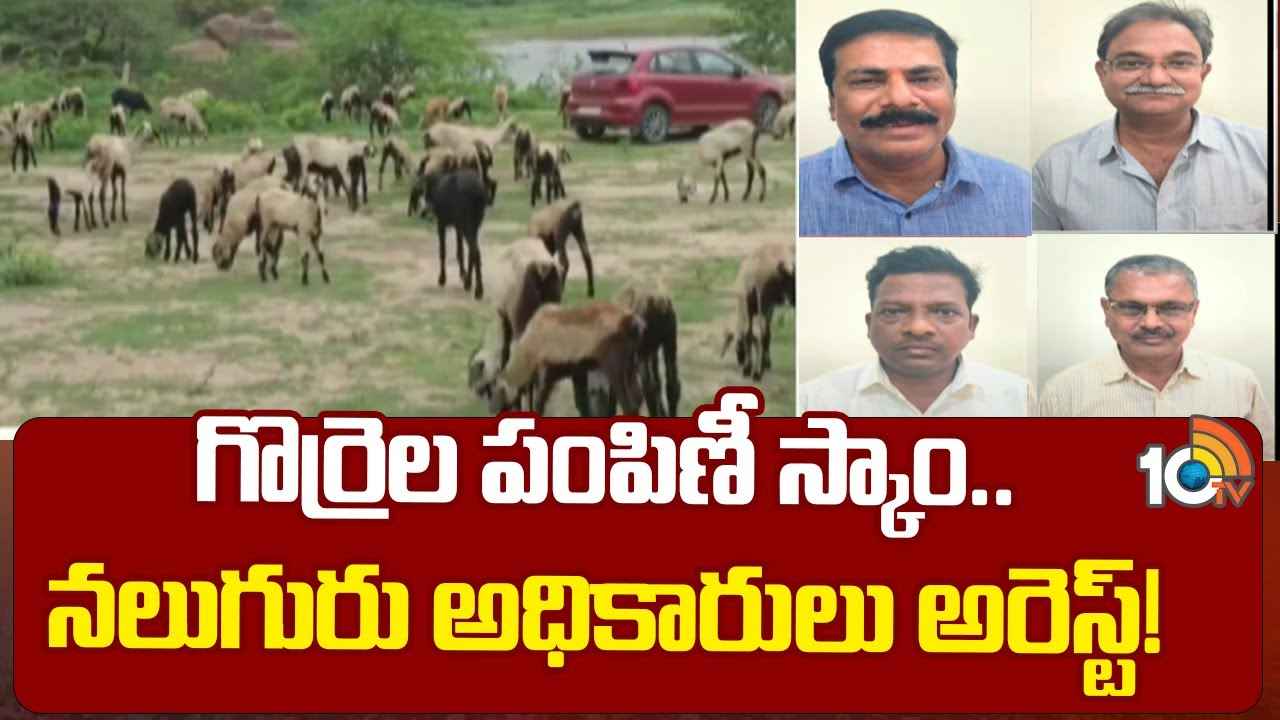 గొర్రెల పంపిణీ స్కాంలో కీలక పరిణామం.. ఆ నలుగురు అరెస్ట్ గొర్రెల పంపిణీ స్కాంలో కీలక పరిణామం.. ఆ నలుగురు అరెస్ట్