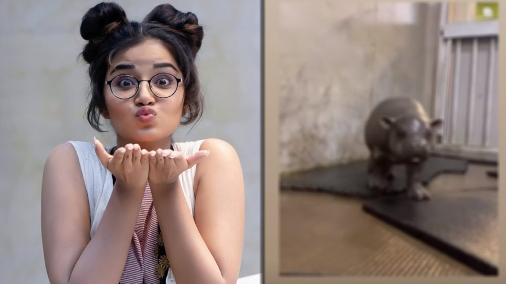Tillu Square Actress Anupama Parameswaran viral post in her instagram story