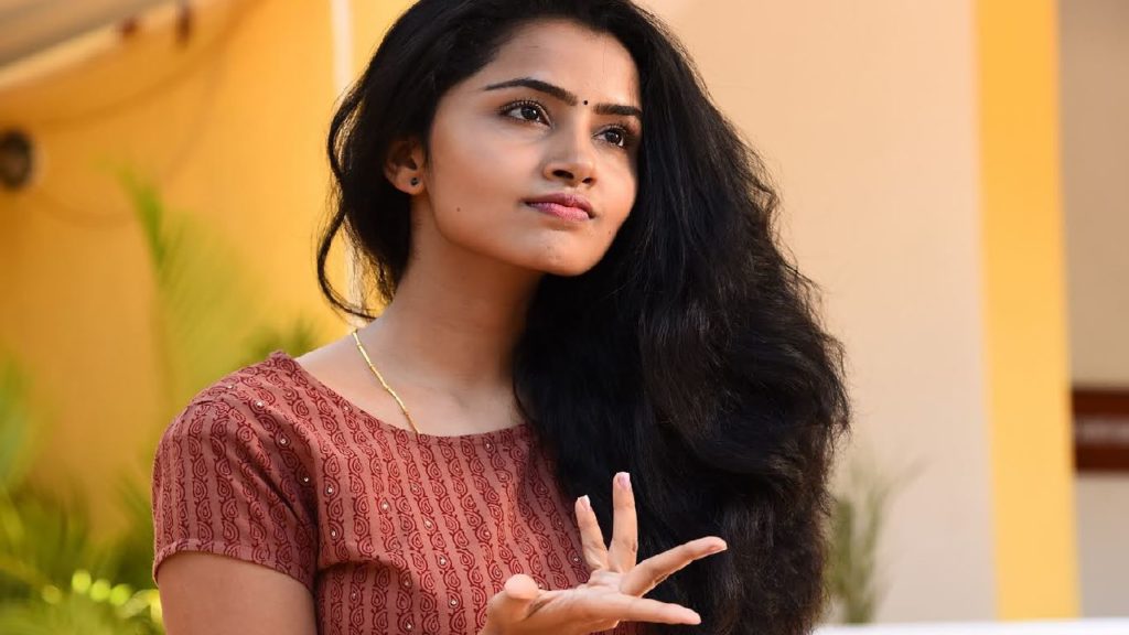 Tillu Square star Anupama Parameswaran counter tweet to telugu website