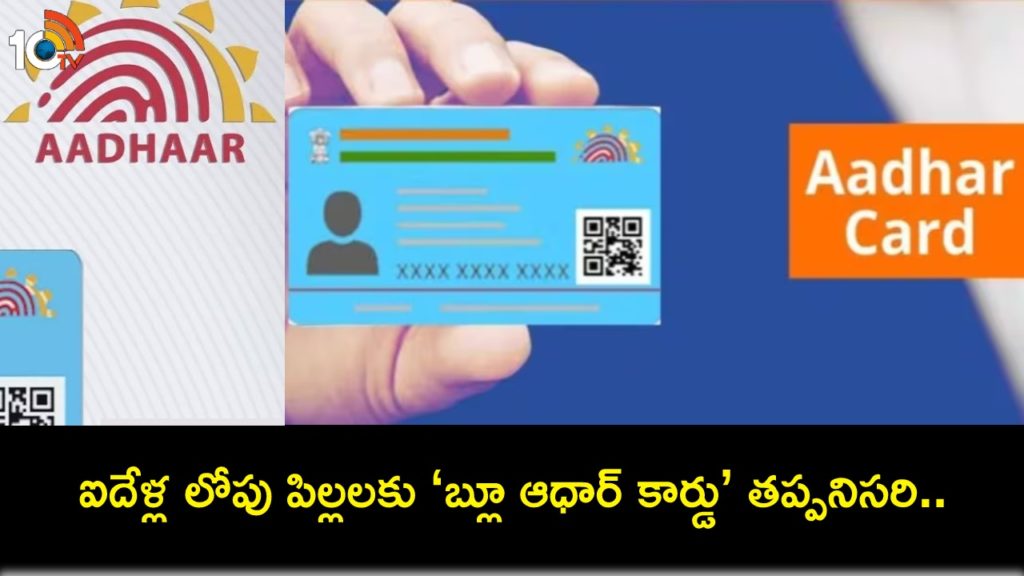 What is Blue Aadhaar card and why it is important