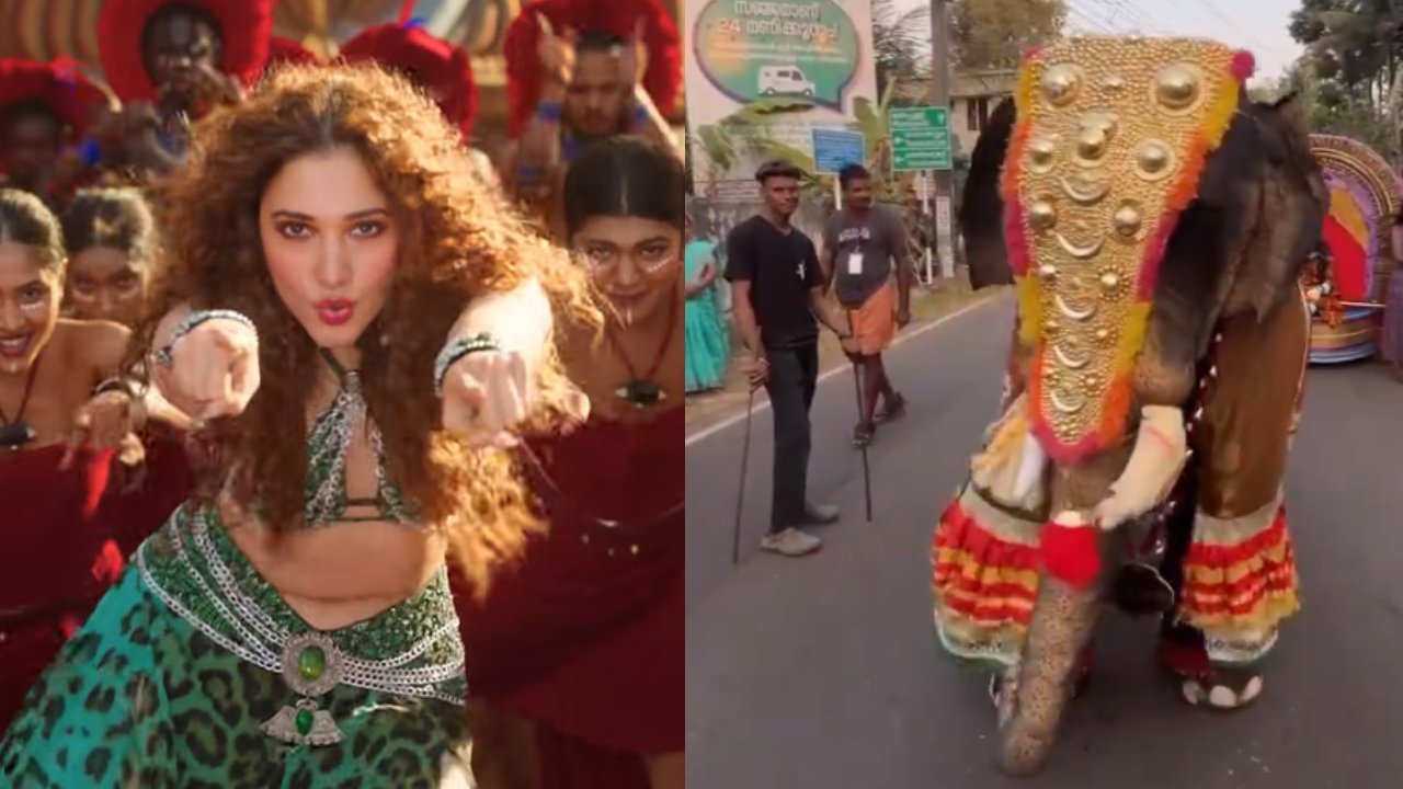 Kaavaali Song : జైలర్ ‘కావాలా’ సాంగ్కి.. ఏనుగు డాన్స్.. కానీ ఓ ట్విస్ట్.. Kaavaali Song : జైలర్ ‘కావాలా’ సాంగ్కి.. ఏనుగు డాన్స్.. కానీ ఓ ట్విస్ట్..