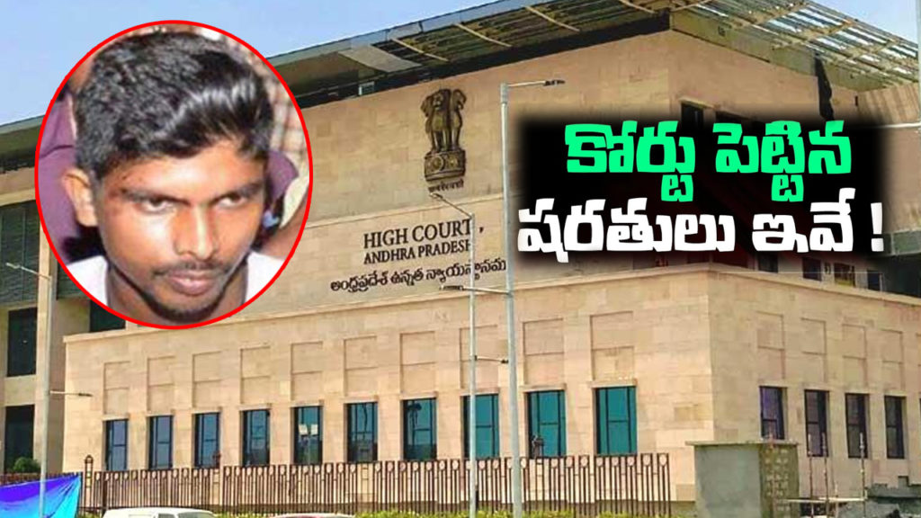kodi kathi case andhra pradesh high court bail conditions for accused