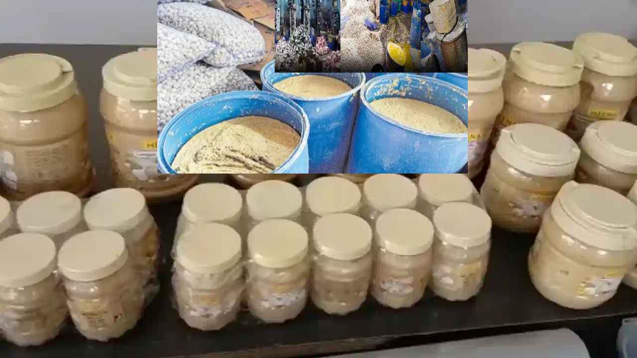 Adulterated Ginger Garlic Paste : రెడిమేడ్ అల్లం వెల్లుల్లి పేస్ట్ తింటున్నారా? ప్రాణాలకు ఎంత ప్రమాదమో తెలుసా Adulterated Ginger Garlic Paste : రెడిమేడ్ అల్లం వెల్లుల్లి పేస్ట్ తింటున్నారా? ప్రాణాలకు ఎంత ప్రమాదమో తెలుసా