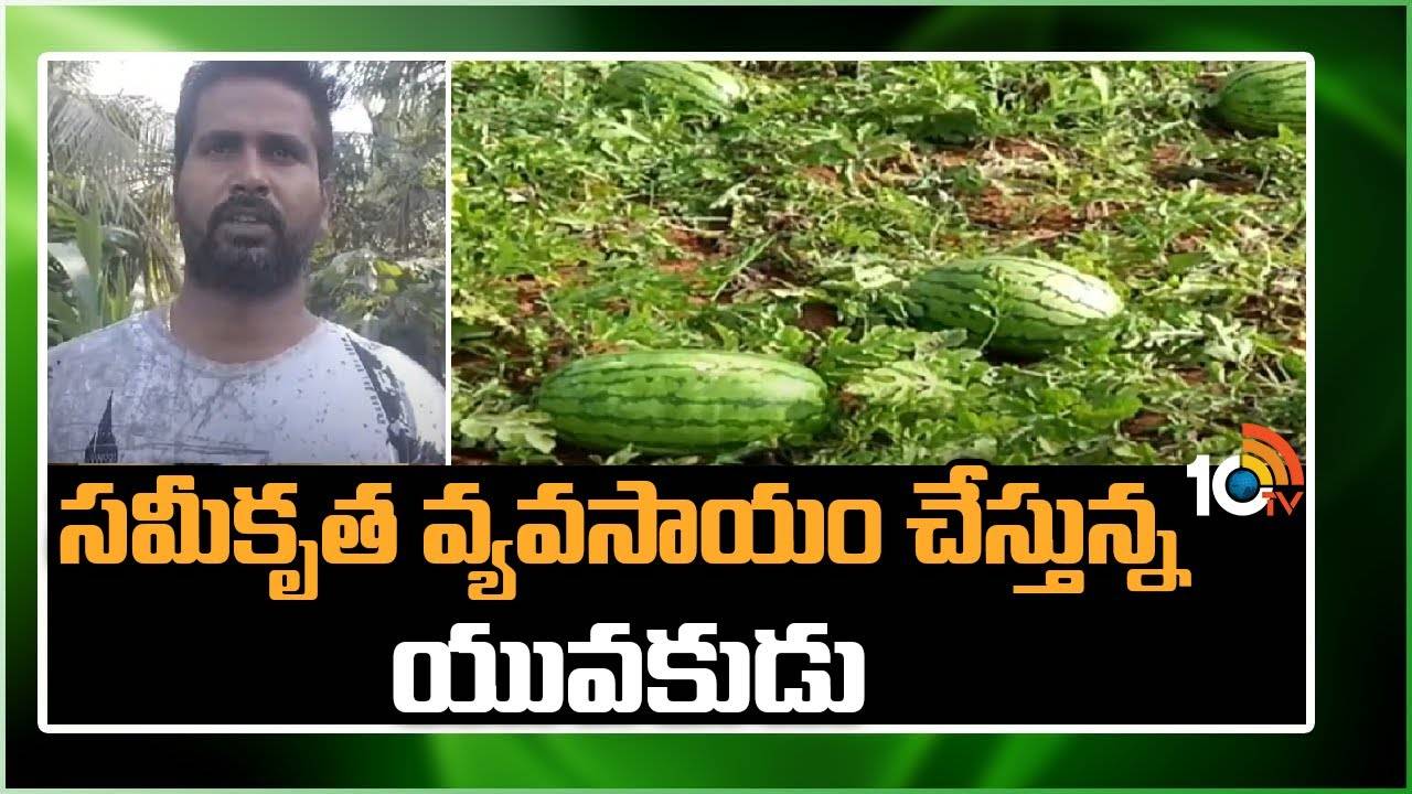 Agriculture Farming : సమీకృత వ్యవసాయం చేస్తున్న యువకుడు Agriculture Farming : సమీకృత వ్యవసాయం చేస్తున్న యువకుడు