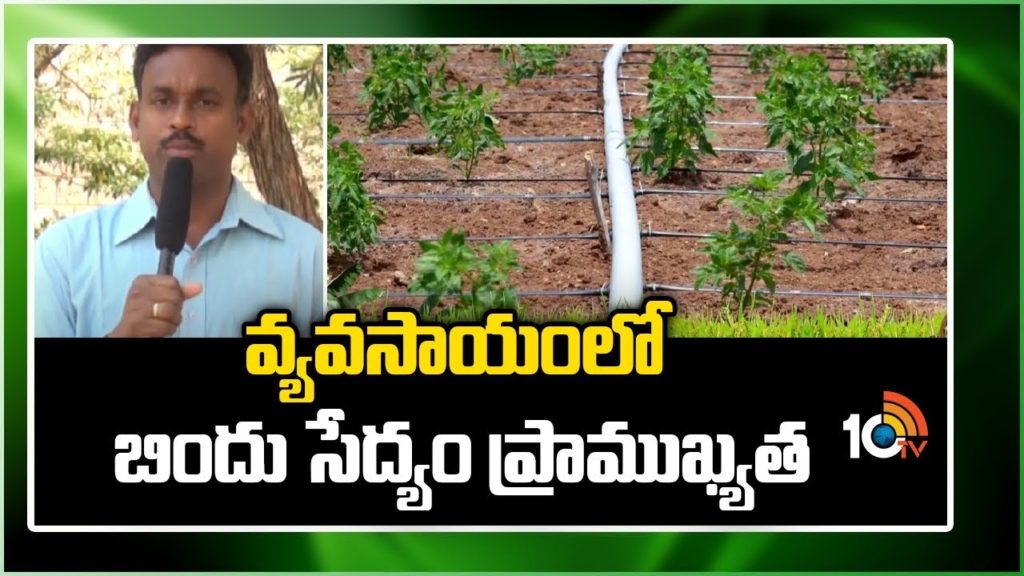 Benefit with Drip Irrigation in Crop Cultivation